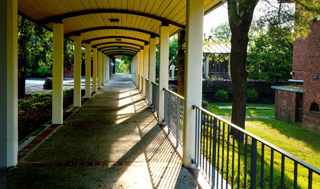 Walkway on Skidmore College campus